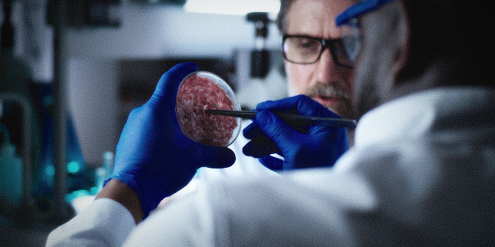 Scientific “Breakthrough” Makes Lab-Grown “Meat” Sort of Taste Like Real Beef